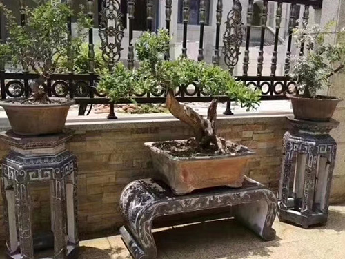 青石仿古花架