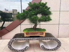  青石仿古花架